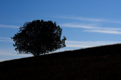 Remonter la pente_5842093194_l.jpg